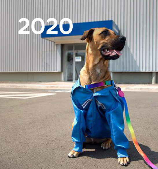 2020