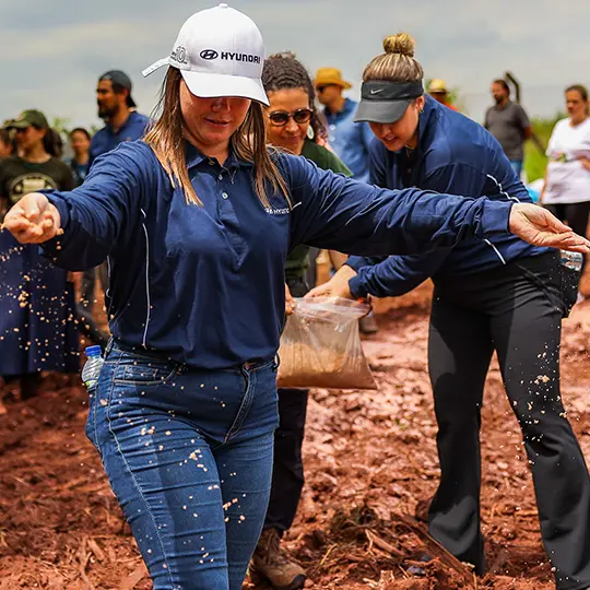 Floresta IONIQ: um projeto para restaurar a Mata Atlântica
