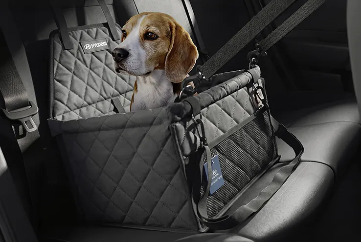 Assento de transporte para pet instalado no banco traseiro do Novo Hyundai i20.