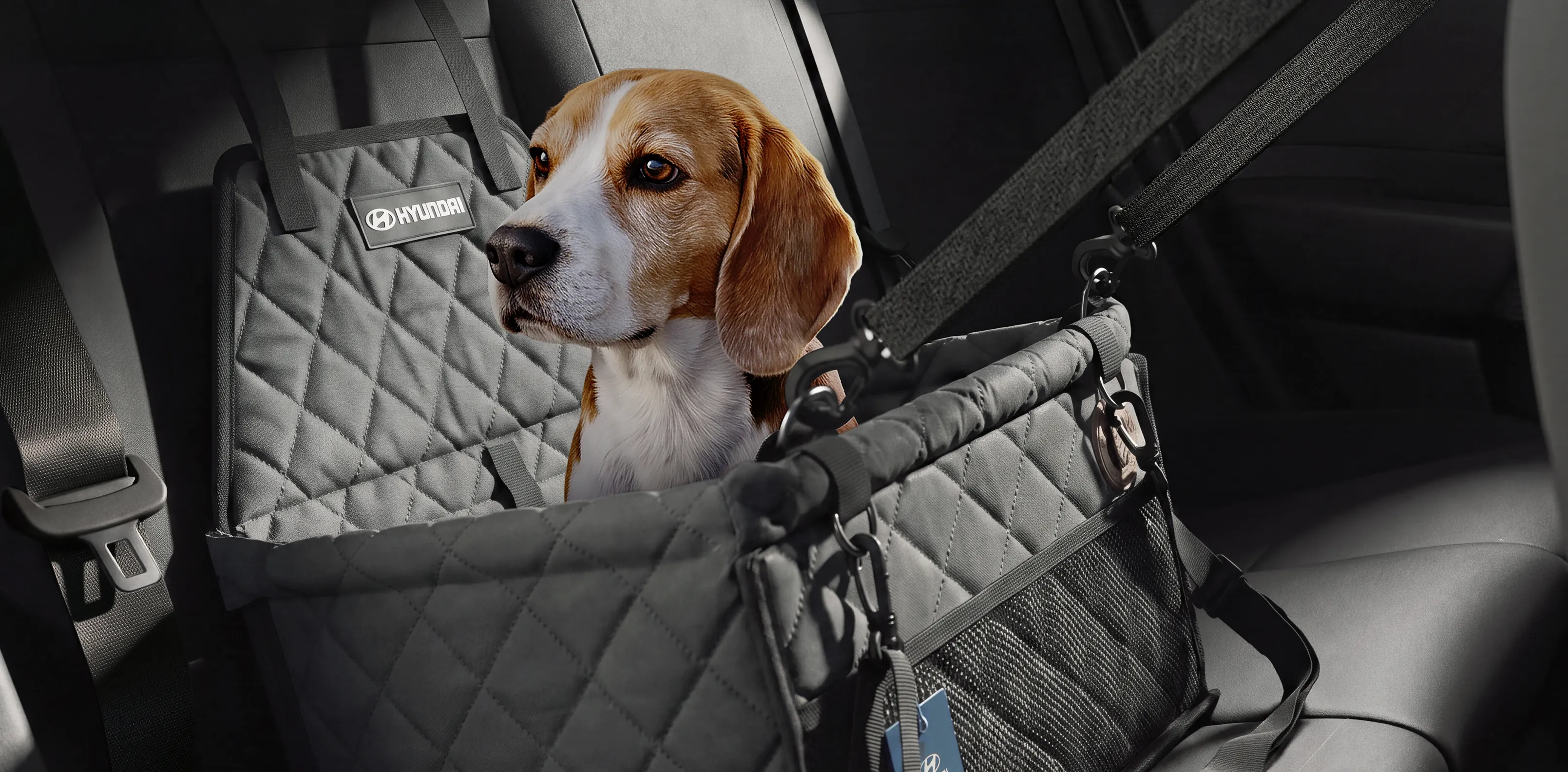 Assento de transporte para pet instalado no banco traseiro do Novo Hyundai i20.