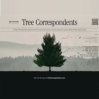 Hyundai celebra 10 anos da Floresta IONIQ com campanha 'Tree Correspondents'