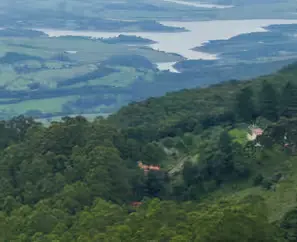 Floresta vista de cima